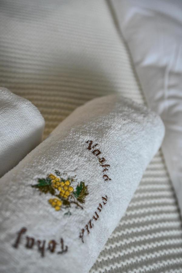 E-Vasko Panzio Borpince Bed & Breakfast Токай Екстериор снимка