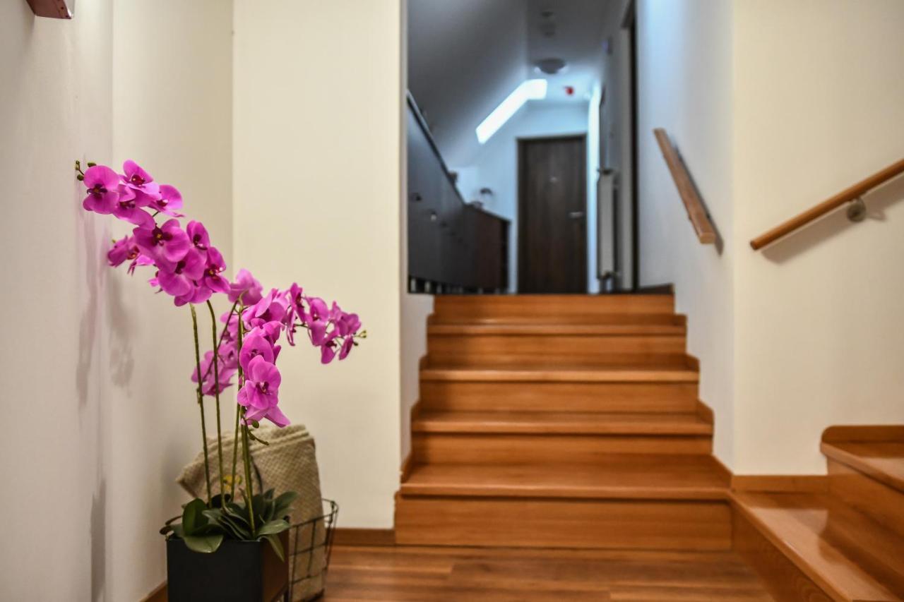 E-Vasko Panzio Borpince Bed & Breakfast Токай Екстериор снимка